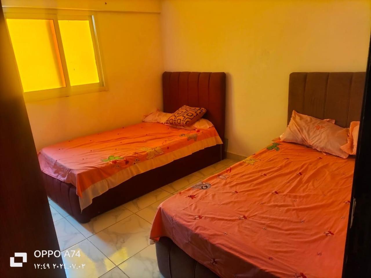 Flores casas de playa Alejandría Exterior foto